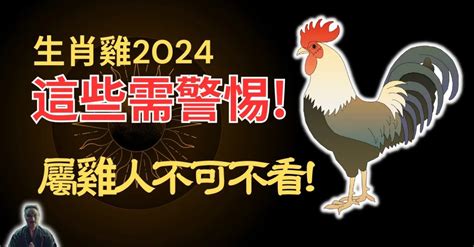 雞 幸運色|2024年運勢大揭秘：生肖雞的幸運數字、顏色和貴人你都知道。